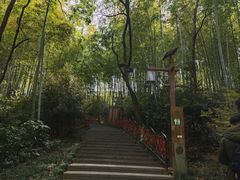 -天目湖山水园