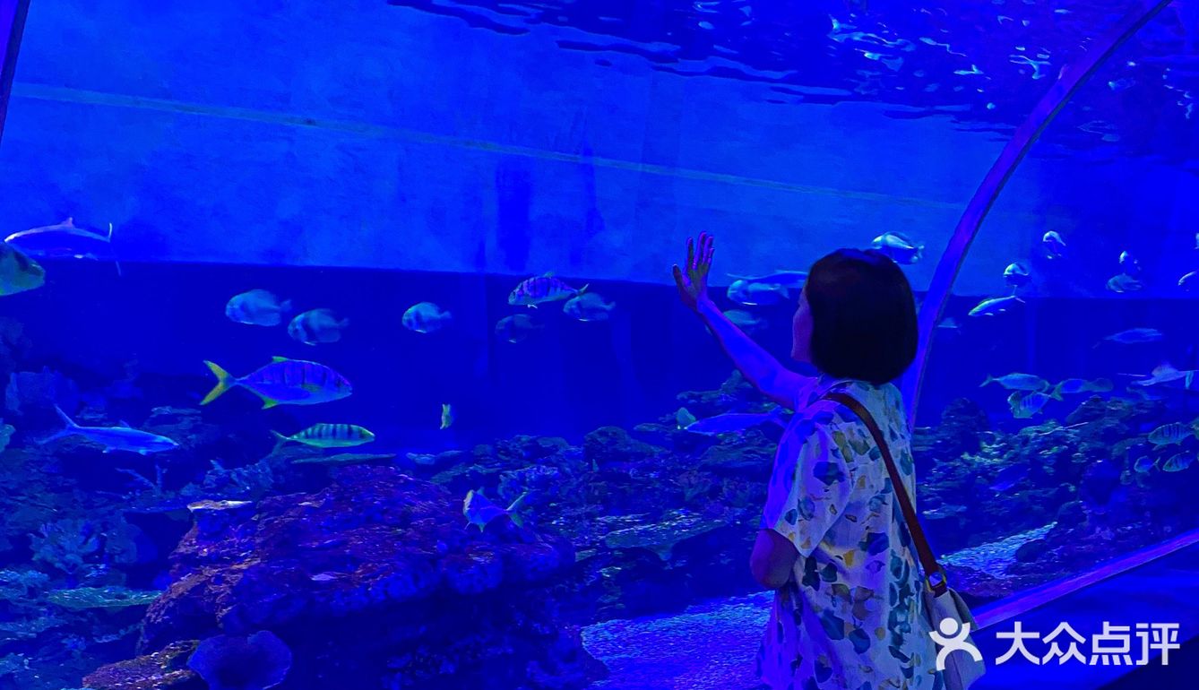 🐬逛浪漫海洋公园，看梦幻飞天游✨