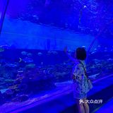 🐬逛浪漫海洋公园，看梦幻飞天游✨