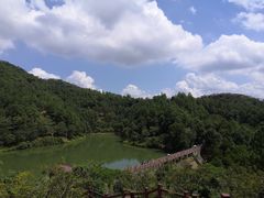 -广州白江湖森林公园