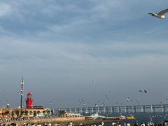 -星海广场