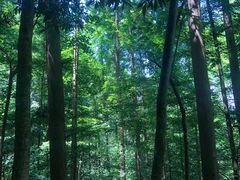 -凤栖山