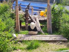 -青藏高原野生动物园