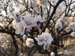 -香山公园-东宫门售票处