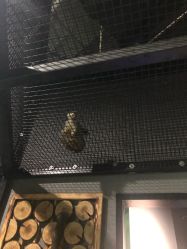 -未来动物城主题公园(正弘城店)