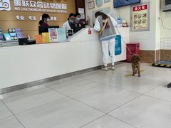 -美联众合动物医院·24h京西诊疗中心