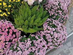 -螃蟹岬(地铁站)