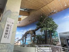 -延庆地质公园博物馆