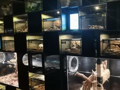 -太平洋海底世界