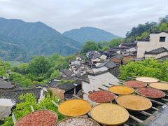 -篁岭景区