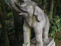 -白马涧龙池景区