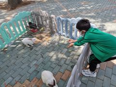 -北戴河集发农业梦想王国