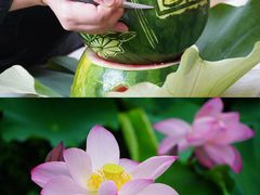 -苏州香山国际大酒店