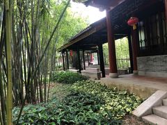 -顺峰山公园