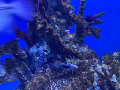 -海合安武汉极地海洋公园