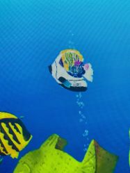 -酷嗒动物文化乐园(cutezoo西溪乐天城店)