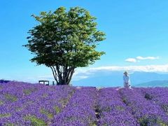 -禾田餐厅•乡野湖北菜(徐东店)