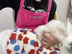 -怪兽屋·羊驼·猫咖·狗咖(俊华广场店)