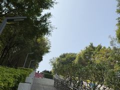 -青礁慈济宫