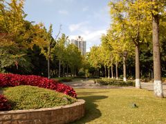 -苏州河梦清园环保主题公园