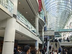 -多伦多伊顿中心