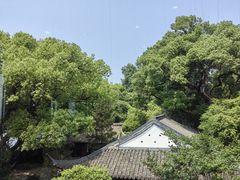 -楼外楼(西湖景区孤山路店)