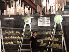 -都念榴莲·城市榴莲