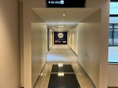 -健身专家Wellness Experts