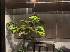 -儒忆孔府菜(清控店)