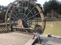 -铁山坪森林公园