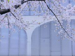 -龙美术馆(西岸馆)