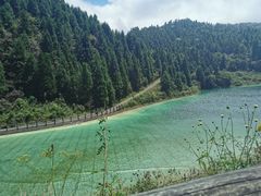 -武陵山森林公园