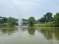 -上海长兴岛郊野公园