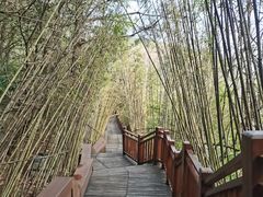 -天河潭旅游度假区