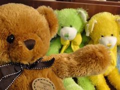 -济州岛泰迪熊博物馆