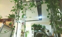 android_upload_pic-飞雨言美容美发