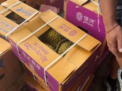 -东方鼎信农副产品交易中心
