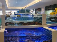 -东莞美怡登酒店(常平南站店)