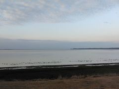 -鄱阳湖国家湿地公园