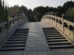 -南汇桃花村