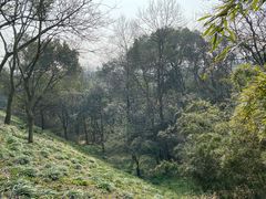 -西湖风景区-江洋畈生态公园