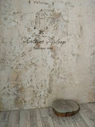 -星豆豆儿童摄影(南郊太白南路店)