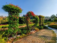-东莞植物园