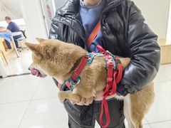 -美联众合动物医院·24h京西诊疗中心