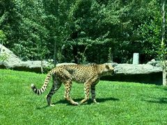 -北京野生动物园