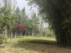 -后襄河公园