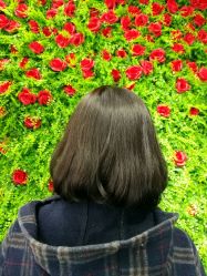 -HD HAIR STYLE