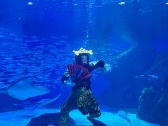-海合安成都极地海洋公园