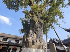 -溪口-滕头旅游景区