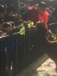 -蓝可可亲子乐园(北苑店)